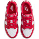 Nike Dunk Low (PSE)